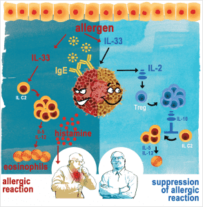 allergies-1-juniorsclub.gr