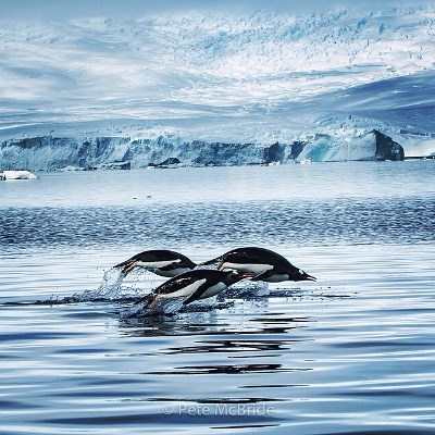 national-geographic-juniorsclub.gr6